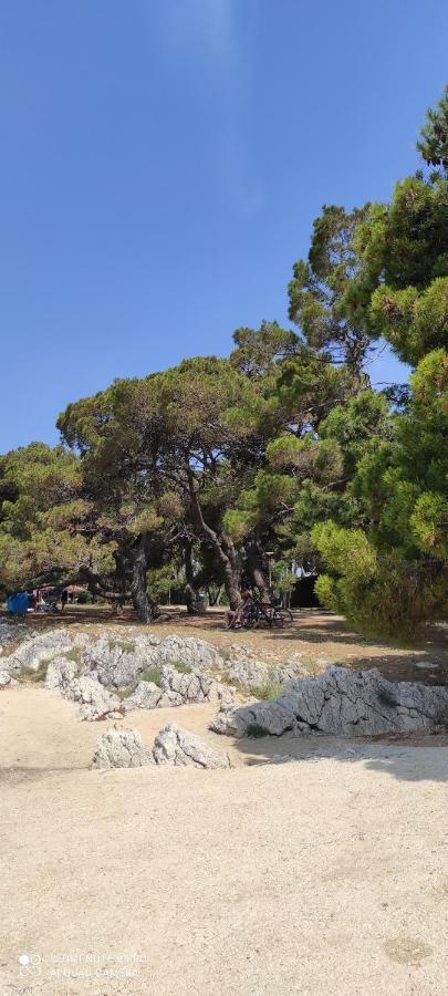 Ferienwohnung Orhideja Zadar Exterior foto
